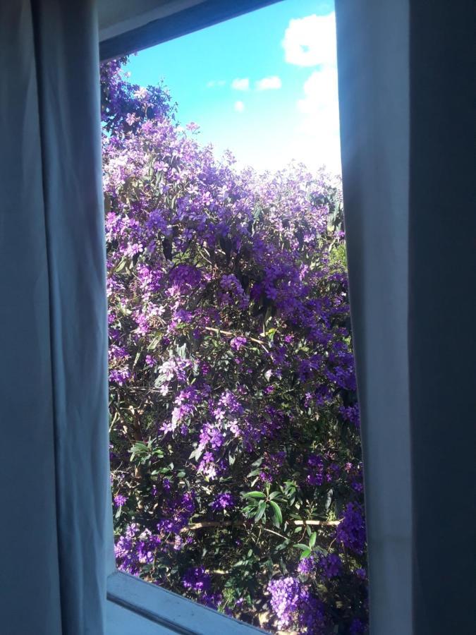 Cantinho De Deus *